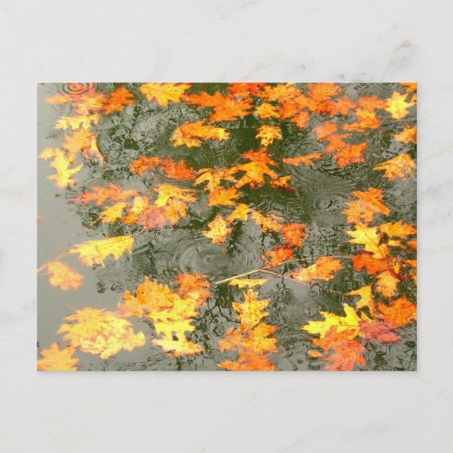 Autumn leaves in rain postcard (Front)