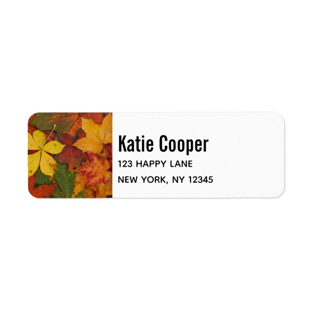 Autumn Leaves in Rustic Colours (Front)