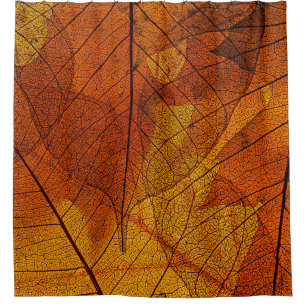 autumn leaves in the detailautumn,background,beaut