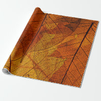 autumn leaves in the detailautumn,background,beaut