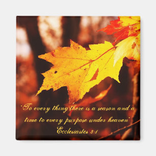 Autumn Leaves in the Poconos Magnet