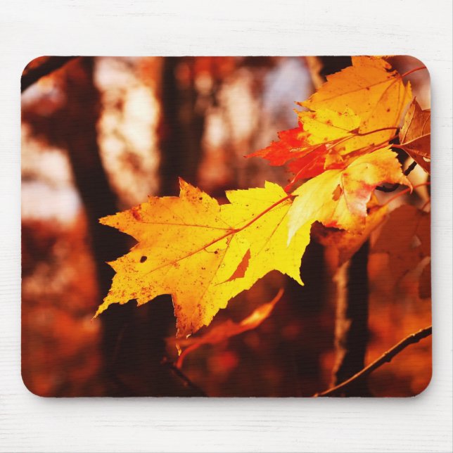 Autumn Leaves in the Poconos Mouse Pad (Front)