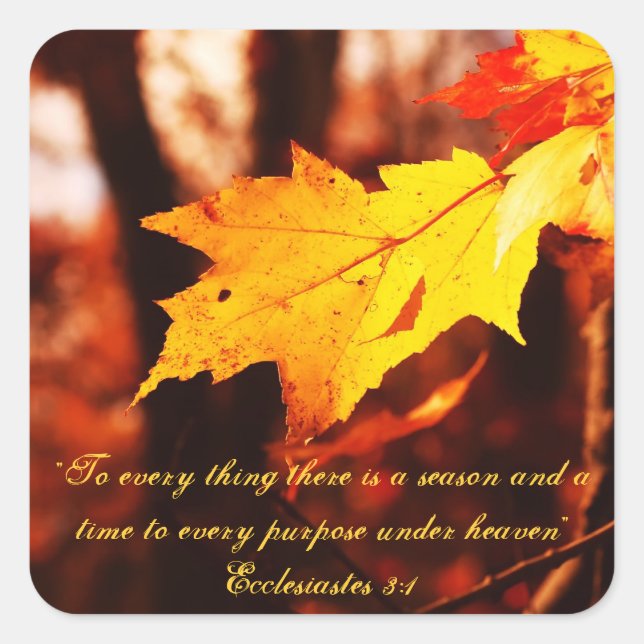 Autumn Leaves in the Poconos Stickers (Front)