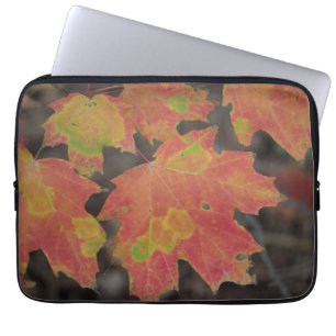 Autumn Leaves Laptop Sleeve