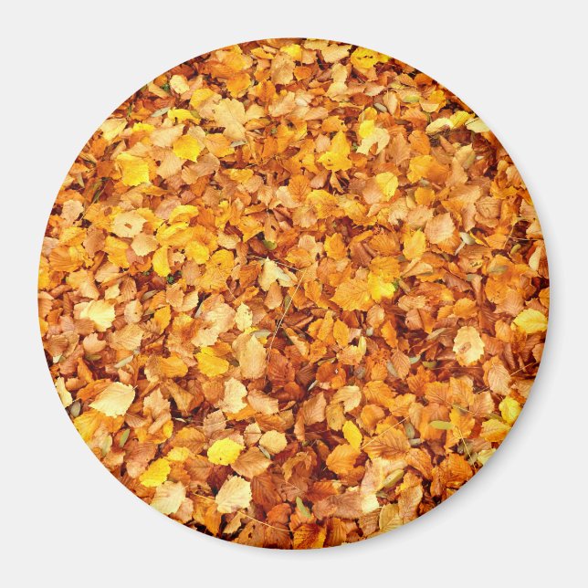 Autumn Leaves Large Round Magnet (Front)