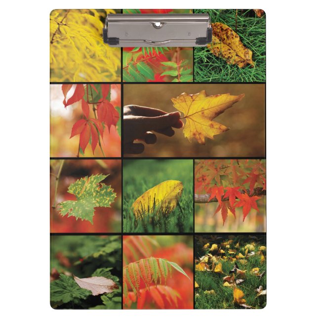 Autumn leaves mix clipboard (Front)