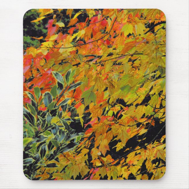 Autumn Leaves Mouse Pad (Front)