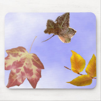 Autumn Leaves Mouse Pad
