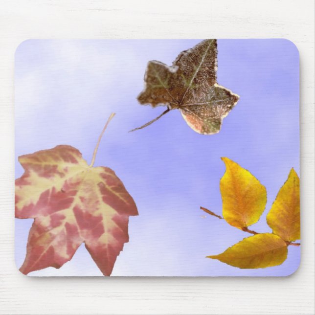 Autumn Leaves Mouse Pad (Front)