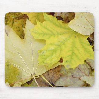 Autumn Leaves Mouse Pad