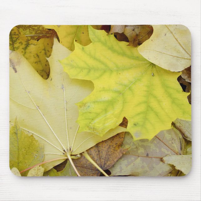 Autumn Leaves Mouse Pad (Front)