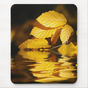 autumn leaves mouse pad