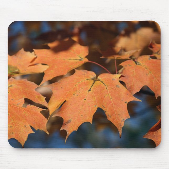 Autumn Leaves Mousepad (Front)