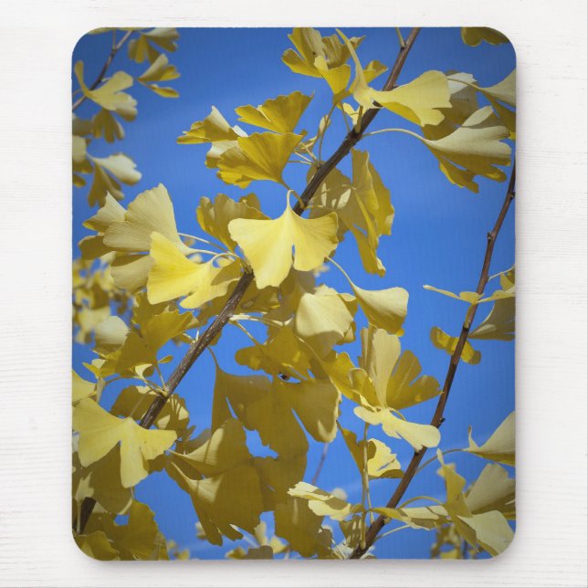 Autumn Leaves Mousepad (Front)