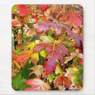 'Autumn Leaves' Mousepad