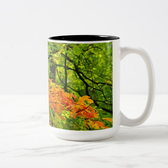 Autumn Leaves Mug (Right)