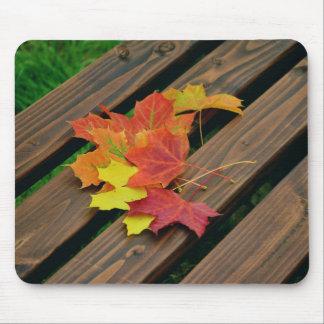 Autumn leaves, Nature, Maple leaves Mouse Pad