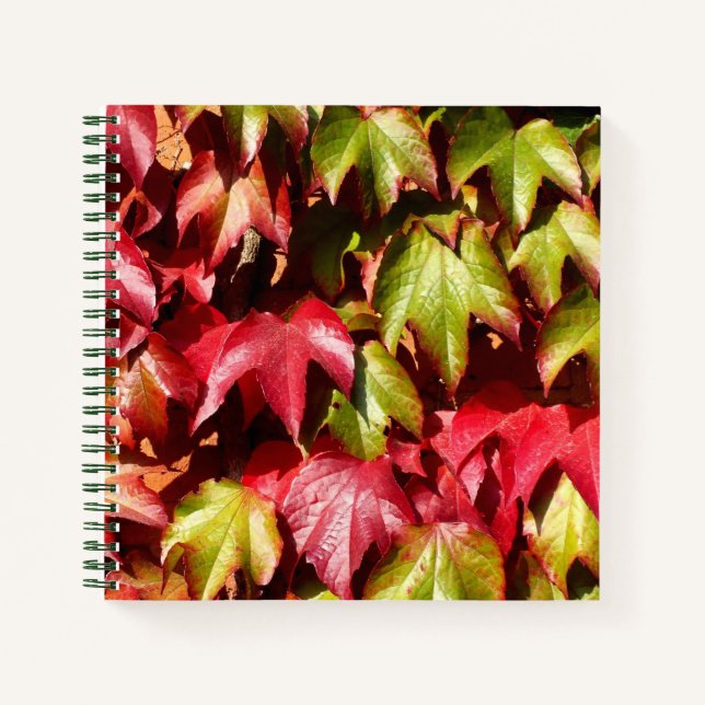 Autumn leaves notebook (Front)