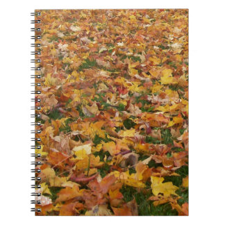Autumn Leaves Notebook