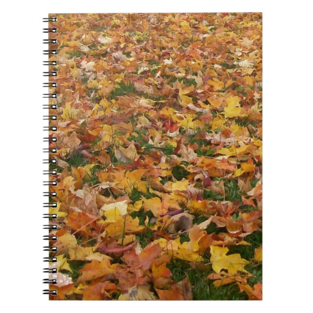 Autumn Leaves Notebook (Front)