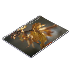 Autumn Leaves Notebook