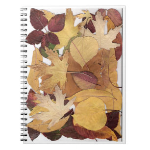 Autumn Leaves Notebook