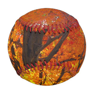 Autumn Leaves of Yellow and Orange Photo Baseball