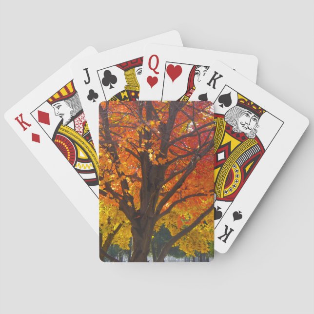 Autumn Leaves of Yellow and Orange Photo Playing Cards (Back)