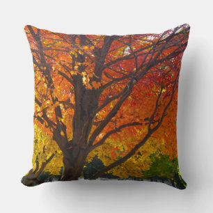 Autumn Leaves of Yellow and Orange Photo Throw Pillow