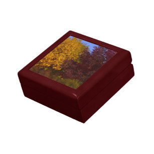 Autumn Leaves of Yellow and Purple, ZSSPG Gift Box