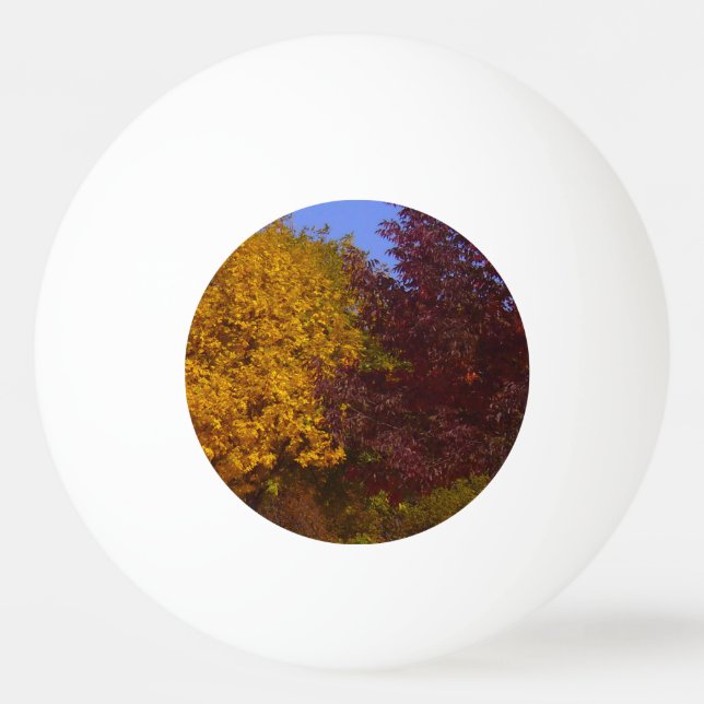 Autumn Leaves of Yellow and Purple, ZSSPG Ping Pong Ball (Front)
