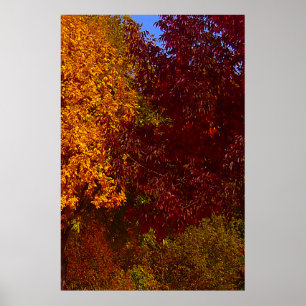 Autumn Leaves of Yellow and Purple, ZSSPG Poster