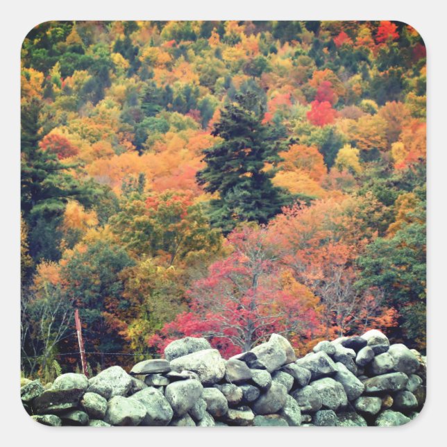 Autumn Leaves Old Stone Wall Nature Square Sticker (Front)