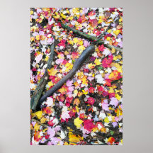 Autumn leaves on the ground