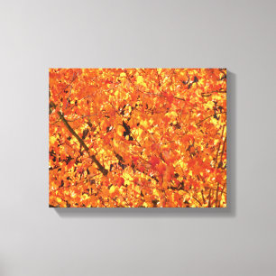 Autumn Leaves on Tree - photograph. Canvas Print