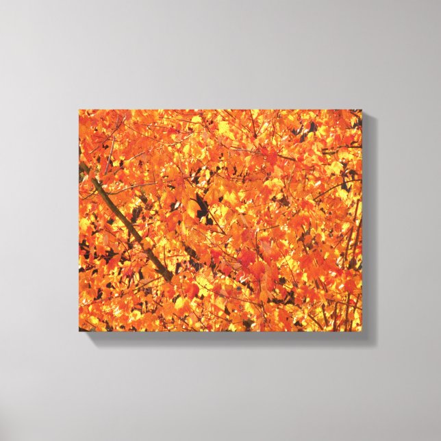 Autumn Leaves on Tree - photograph.   Canvas Print (Front)