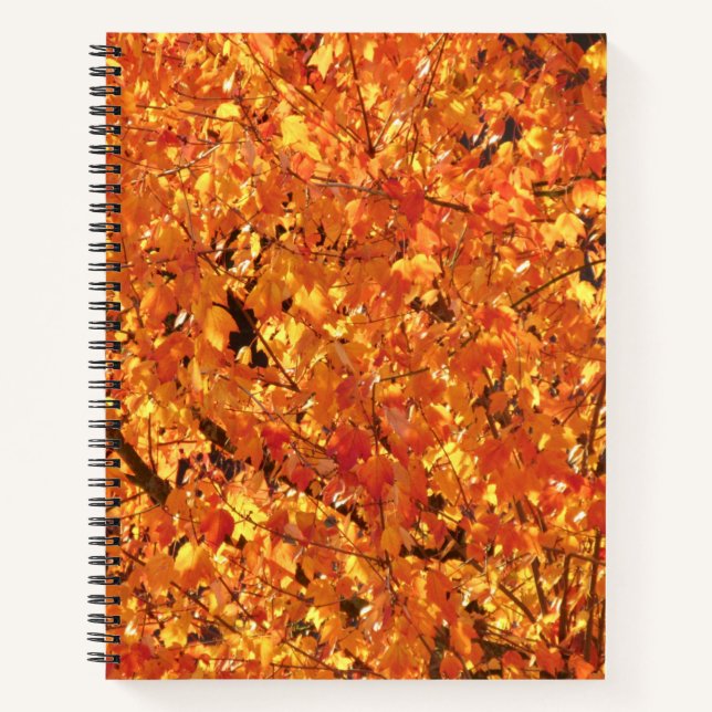 Autumn Leaves on Tree - photograph.  Notebook (Front)