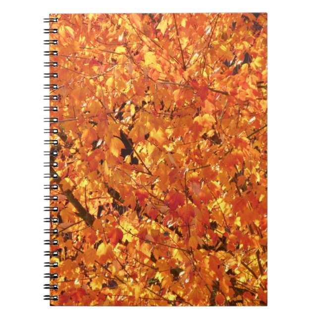 Autumn Leaves on Tree - photograph. Notebook (Front)