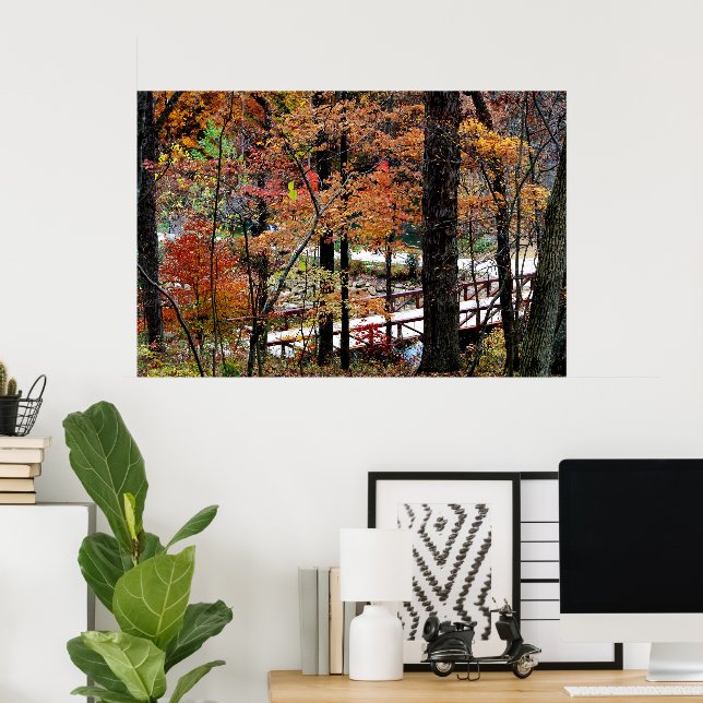 Autumn Leaves on Trees in Arkansas Value Poster (Home Office)
