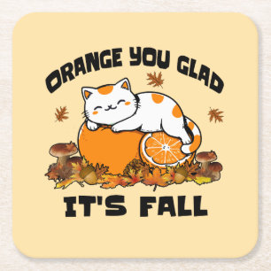 Autumn Leaves Orange You Glad It's Fall Funny Cat  Square Paper Coaster