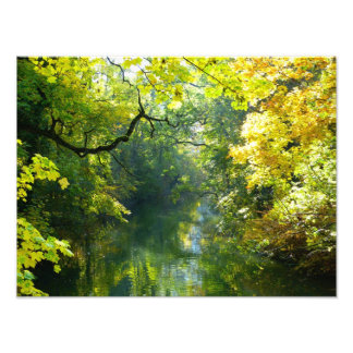 Autumn leaves over a stream photo print