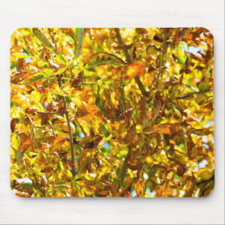 Autumn leaves pattern mouse pad