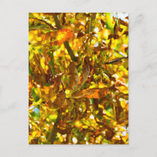 Autumn leaves pattern postcard