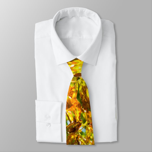Autumn leaves pattern tie (Tied)