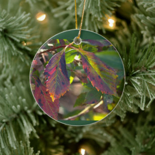 Autumn Leaves Photo Ornament
