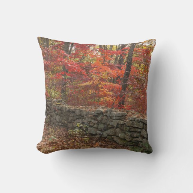 Autumn Leaves Picture -Fall Leaves Throw Pillow (Front)