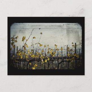 Autumn Leaves Postcard