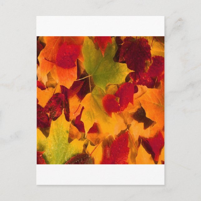 AUTUMN LEAVES POSTCARD (Front)