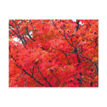Autumn Leaves
