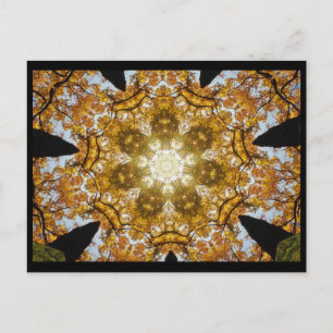 Autumn Leaves Postcard